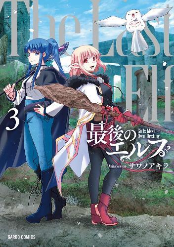 The Last Elf Vol. 3  by Akira Sawano at Abbey's Bookshop, 