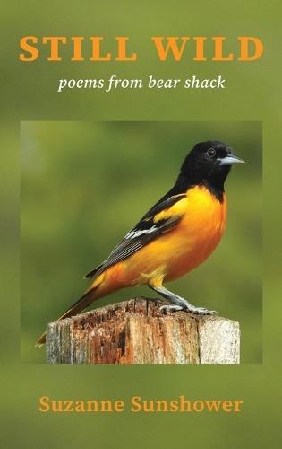 Still Wild: Poems from Bear Shack  by Suzanne Sunshower at Abbey's Bookshop, 