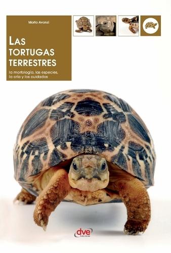Los Camaleones: Cría, terrario, alimentación y cuidados completos de más de 150 especies