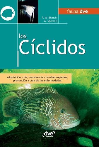 Aquarium Making- Fishkeeping & Maintenance