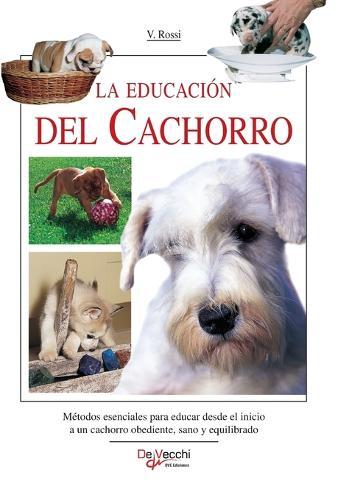 El bulldog: Consejos esenciales para educar, alimentar y mantener sano al singular y simpático bulldog