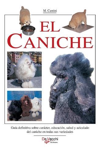 El Malinois: Guía completa para comprender, educar y cuidar al pastor belga malinois