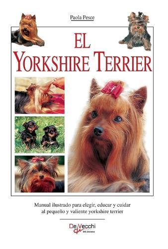 Los setter irlandés y gordon: Manual sobre el cuidado, educación y características de los setter irlandés y gordon
