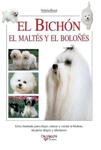 El setter inglés: Elección del cachorro, estándar, educación, alimentación, salud y reproducción