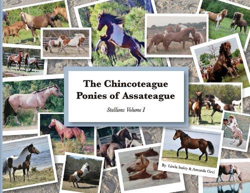 All the Things You Wish You Knew Before Buying That Pony: An ultimate guide for those wishing to be great equestrian parents