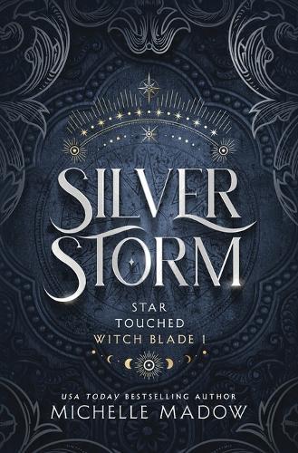 Silver Storm  by Michelle Madow at Abbey's Bookshop, 