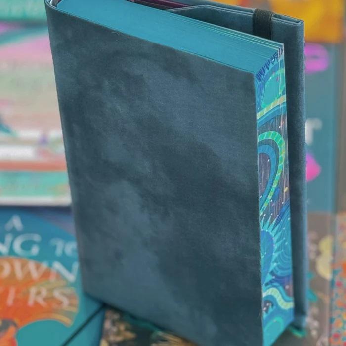 Tempest Large Dust Jacket  by Charlie and Fox at Abbey's Bookshop, 